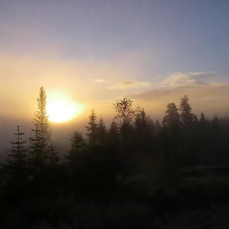 - Fjellangerveien 155b *